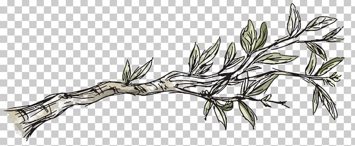 Twig Leaf Plant Stem Weapon Line Art PNG, Clipart, Branch, Cold Weapon, Grasses, Grass Family, Leaf Free PNG Download