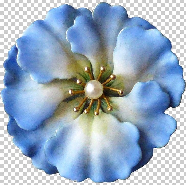 Cobalt Blue Flowering Plant Petal PNG, Clipart, Blue, Cobalt, Cobalt Blue, Flower, Flowering Plant Free PNG Download