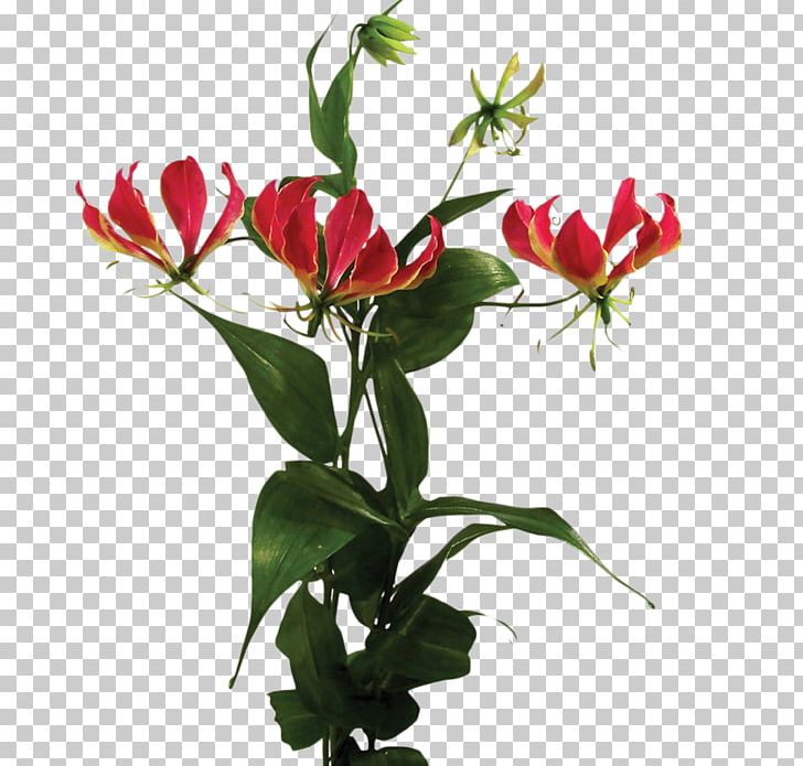 Cut Flowers Plant Arum-lily Rose PNG, Clipart, Alstroemeriaceae, Arumlily, Calla Lily, Common Sunflower, Cut Flowers Free PNG Download