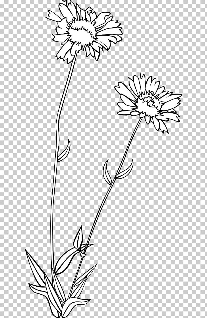 Wildflower Drawing PNG, Clipart, Black And White, Branch, Coloring Book, Computer Icons, Cut Flowers Free PNG Download