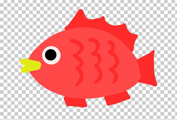 Beak Fish PNG, Clipart, Beak, Dbd, Fish, Orange, Organism Free PNG Download