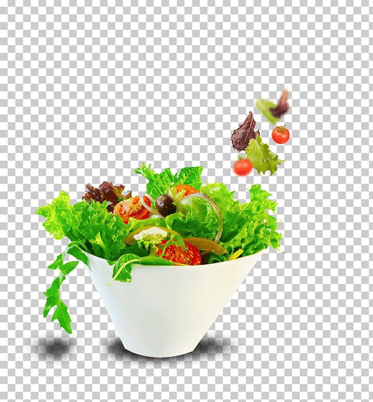 Greek Salad Raw Foodism Bowl Leaf Vegetable PNG, Clipart, Bowl, Carrot, Eating, Flowerpot, Food Free PNG Download