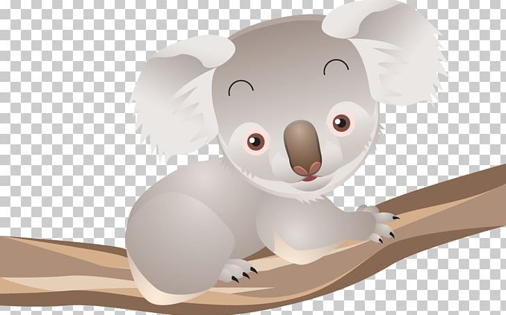 Koala Bear Australia Drawing PNG, Clipart, Animal, Animals, Australia, Baby, Bear Free PNG Download