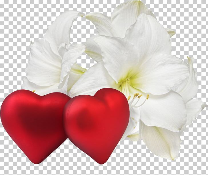 Romance Flower Love Heart Desktop PNG, Clipart, Amaryllis, Cut Flowers,  Desktop Wallpaper, Flower, Flower Bouquet Free
