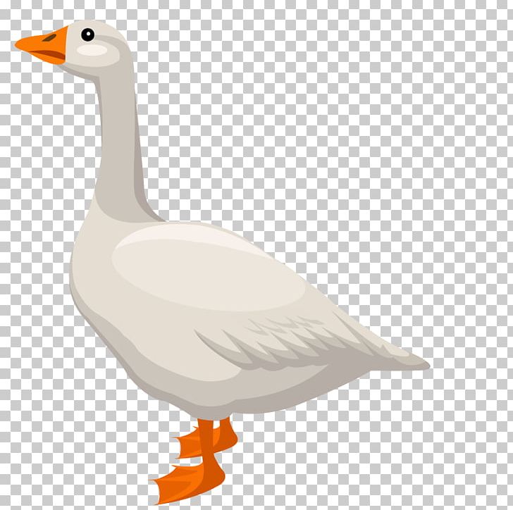 Duck Domestic Goose Cygnini PNG, Clipart, Animal, Animals, Art, Background White, Big Ben Free PNG Download