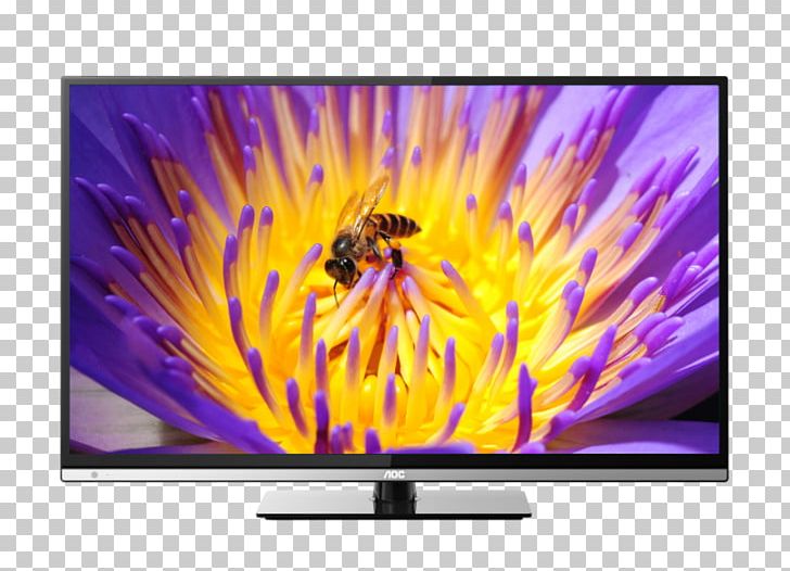LED-backlit LCD AOC International Television Set Liquid-crystal Display Backlight PNG, Clipart, Aoc International, Backlight, Computer Monitor, Display Advertising, Electronic Visual Display Free PNG Download