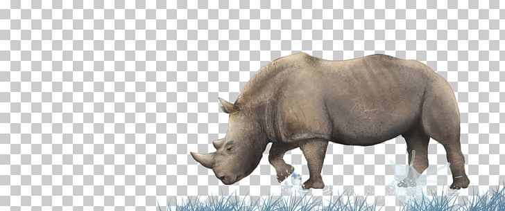 Rhinoceros Wall Horizontal Bar Pull-up Room PNG, Clipart, Animal, Animals, Art, Book, Cartoon Rhino Free PNG Download
