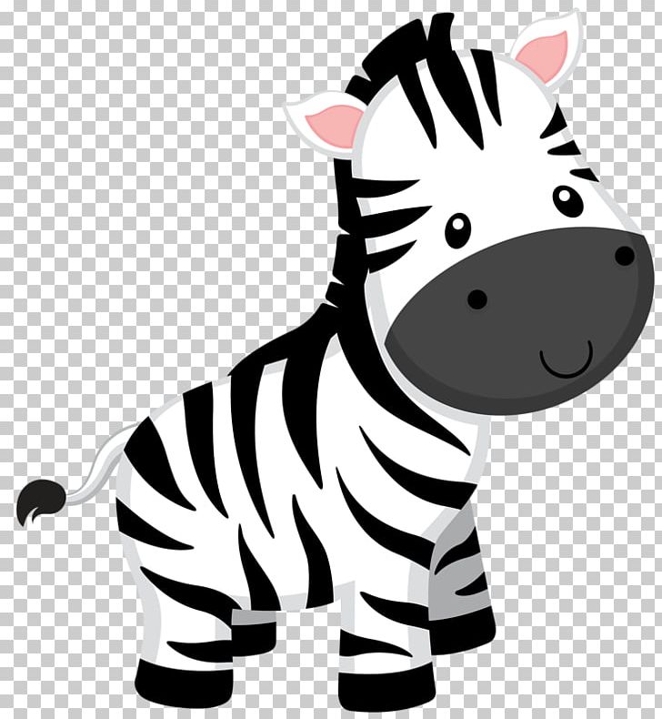 Zebra PNG, Clipart, Animal Figure, Animals, Black, Black And White, Blog Free PNG Download