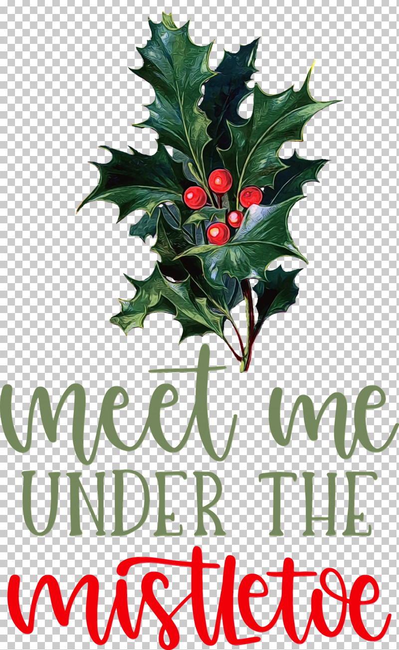 Christmas Day PNG, Clipart, Aquifoliales, Christmas Day, Christmas Ornament, Christmas Ornament M, Fruit Free PNG Download