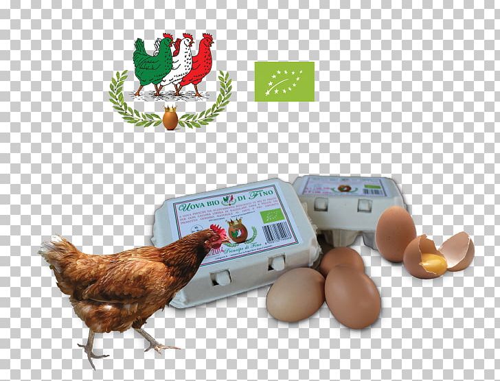 Chicken Egg Animal Husbandry Organic Farming Milk PNG, Clipart, Animal Husbandry, Animals, Biodynamic Agriculture, Chicken, Egg Free PNG Download