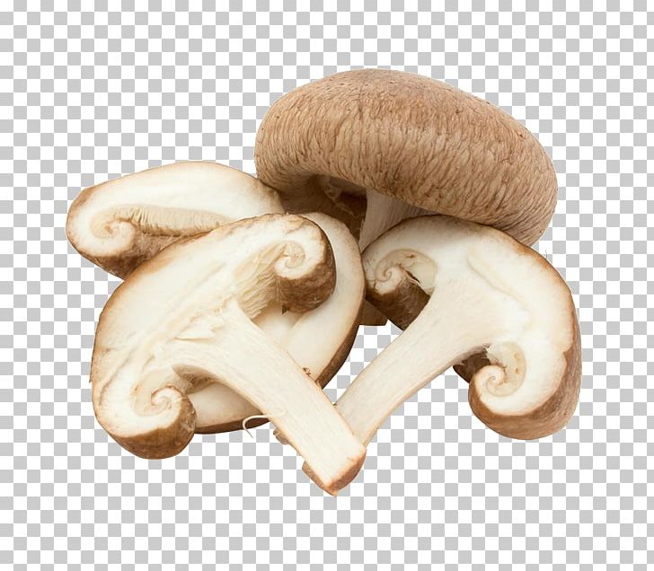 Common Mushroom Edible Mushroom Fungus Vegetable PNG, Clipart, Agaricaceae, Agaricomycetes, Agaricus, Champignon Mushroom, Common Mushroom Free PNG Download