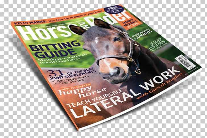 Magazine Brand Snout PNG, Clipart, Advertising, Brand, Horse Rider, Magazine, Others Free PNG Download