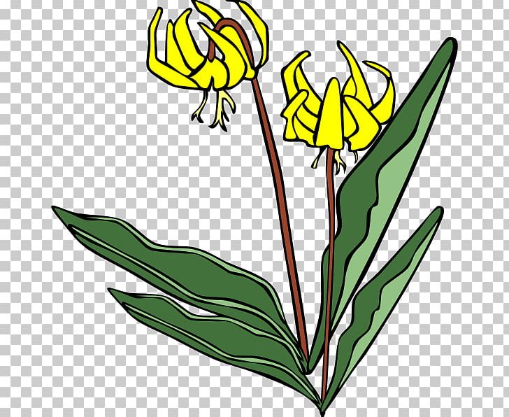 Wildflower Lilium PNG, Clipart, Artwork, Black And White, Botany, Bud, Cut Flowers Free PNG Download