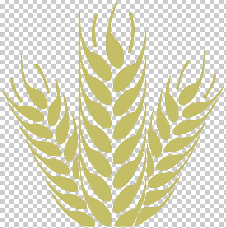 Beer Grain Wheat PNG, Clipart, Ancient Grains, Barley, Beer, Clip Art, Commodity Free PNG Download