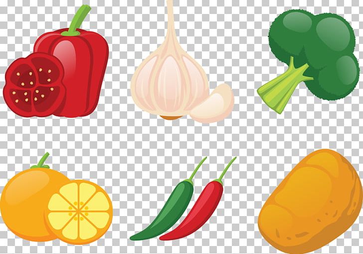 Bell Pepper Winter Squash Vegetable Illustration PNG, Clipart, Bell Pepper, Capsicum Annuum, Diet Food, Food, Fruit Free PNG Download