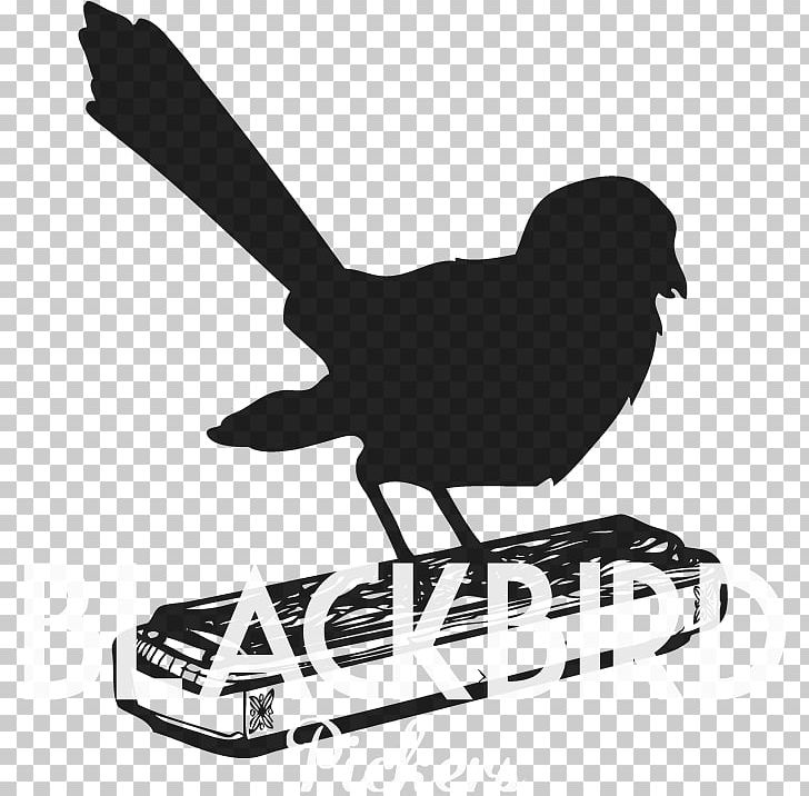 Blackbird Pickers Musical Ensemble Central Alabama Wedding PNG, Clipart, Band, Beak, Bird, Black And White, Blackbird Free PNG Download