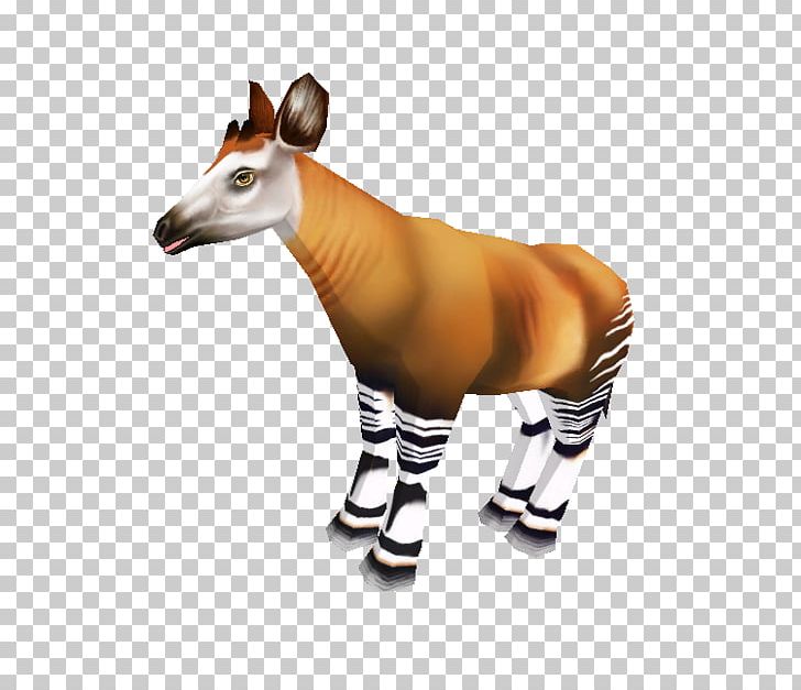 Okapi Giraffe Snout Terrestrial Animal Wildlife PNG, Clipart, Animal, Animal Figure, Animals, F D, Giraffe Free PNG Download