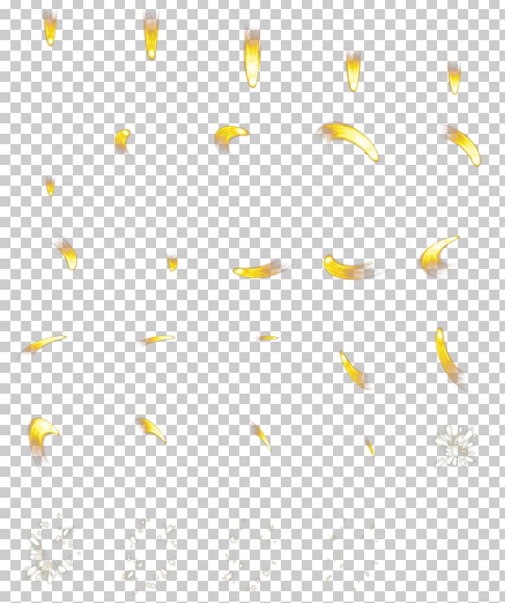 Petal Flower Yellow Pattern PNG, Clipart, Flower, Food Drinks, Line, Nature, Petal Free PNG Download