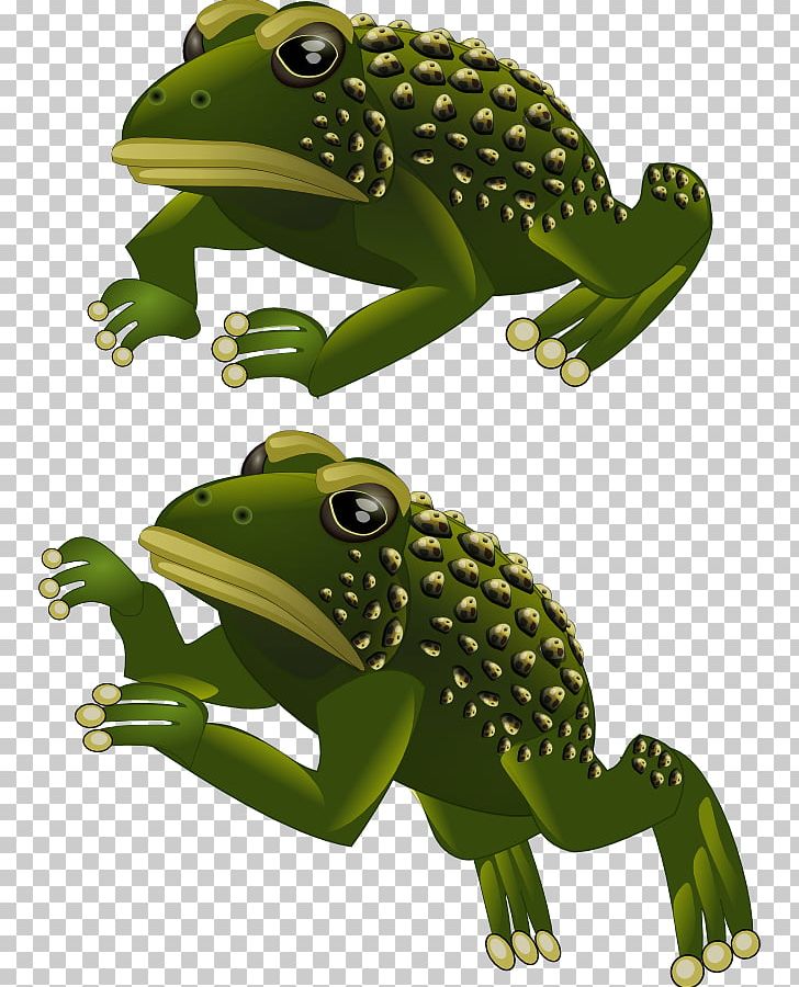 Toad True Frog 2D Computer Graphics Sprite PNG, Clipart, 2d Computer Graphics, 3d Computer Graphics, Amazing Frog 3d, Amphibian, Animal Free PNG Download