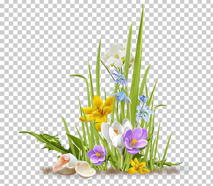 Flower Desktop PNG, Clipart, Art, Crocus, Cut Flowers, Desktop Wallpaper, Download Free PNG Download