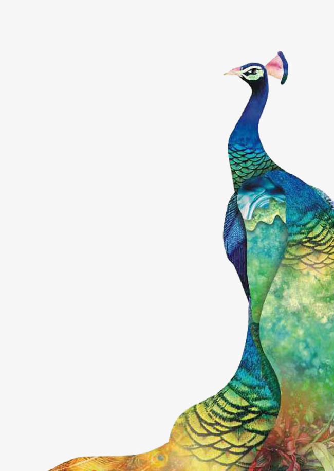 Peacock PNG, Clipart, Animal, Blue, Blue Peacock, Brochure, Brochure Design Free PNG Download