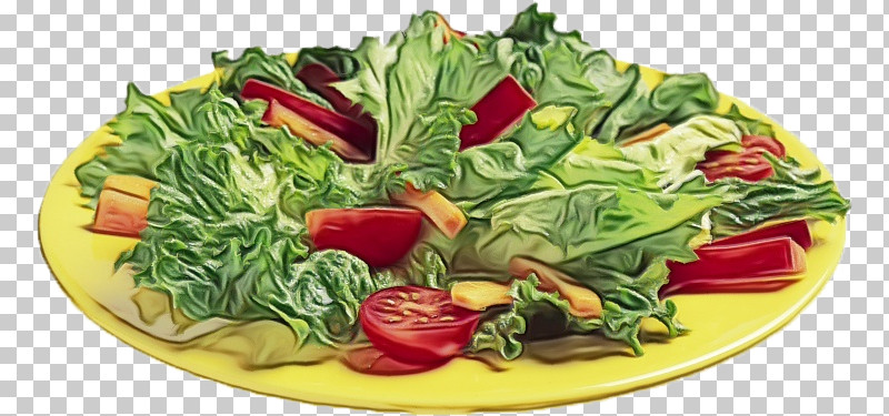 Salad PNG, Clipart, Chard, Paint, Salad, Spinach, Vegetable Free PNG Download
