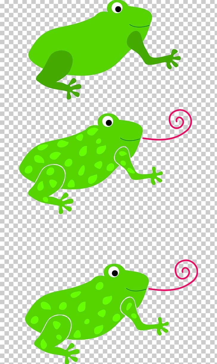 Frog Amphibians PNG, Clipart, American Bullfrog, Amphibian, Amphibians, Animal Figure, Area Free PNG Download