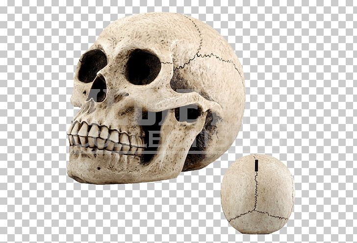 Piggy Bank Skull Money Coin PNG, Clipart, Bank, Bone, Box, Budget, Child Free PNG Download