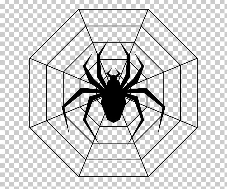 Drawing Line Art Coloring Book Spider Ausmalbild PNG, Clipart, Angle, Animal, Area, Ausmalbild, Ball Free PNG Download