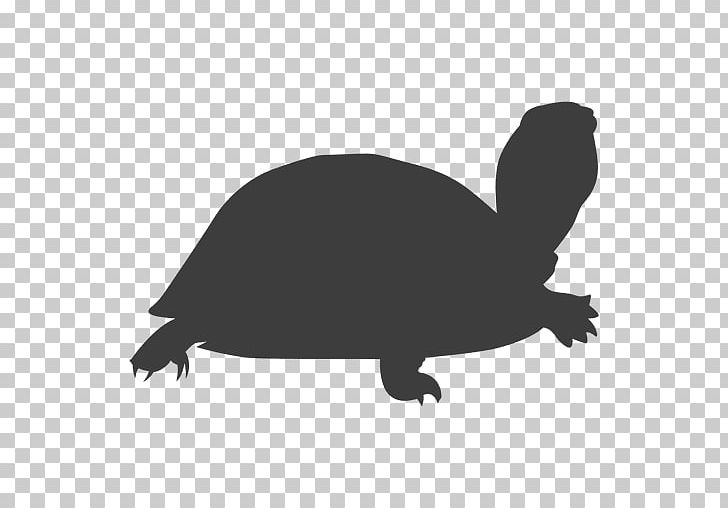 Tortoise Sea Turtle Silhouette Reptile PNG, Clipart, Black And White, Box Turtles, Drawing, Fauna, Green Sea Turtle Free PNG Download