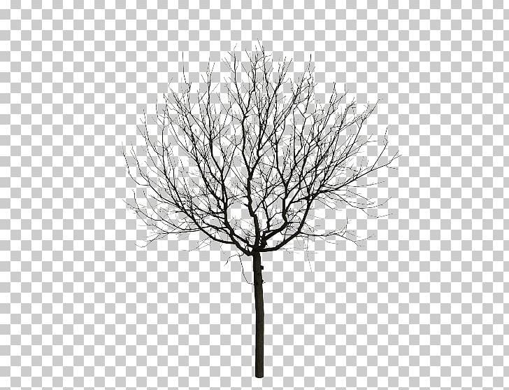 Tree MPEG-4 Part 14 3GP MP3 PNG, Clipart, 3gp, Ahmet Kaya, Animation, Black And White, Branch Free PNG Download