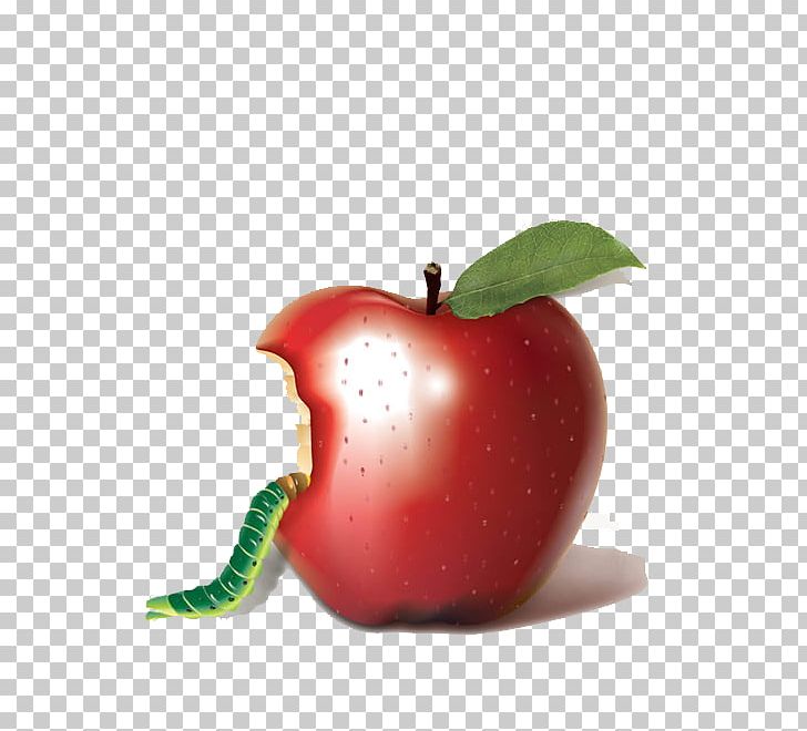 Apple Bobbing Biting Auglis PNG, Clipart, Accessory Fruit, Apple, Apple Fruit, Apple Logo, Apples Free PNG Download