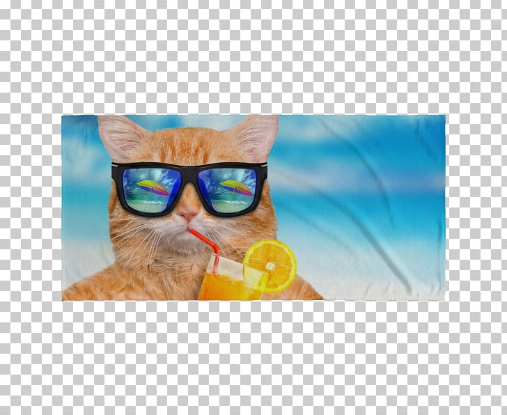 Cat YouTube Fotolia PNG, Clipart, Animals, Cat, Company, Desktop Wallpaper, Eyewear Free PNG Download