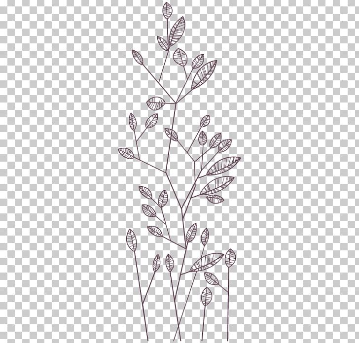 Twig Drawing Plant Stem Line Leaf PNG, Clipart, Angle, Art, Black And White, Branch, Drawing Free PNG Download