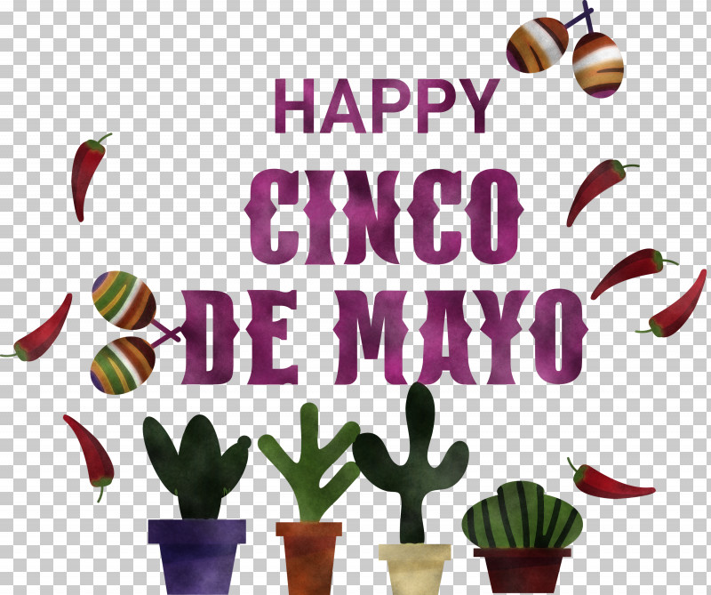 Cinco De Mayo Fifth Of May Mexico PNG, Clipart, Biology, Cinco De Mayo, Fifth Of May, Flower, Meter Free PNG Download