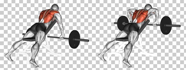 Bent-over Row Dumbbell Bench Exercise PNG, Clipart, Arm, Auto Part, Barbell, Bench, Bench Press Free PNG Download