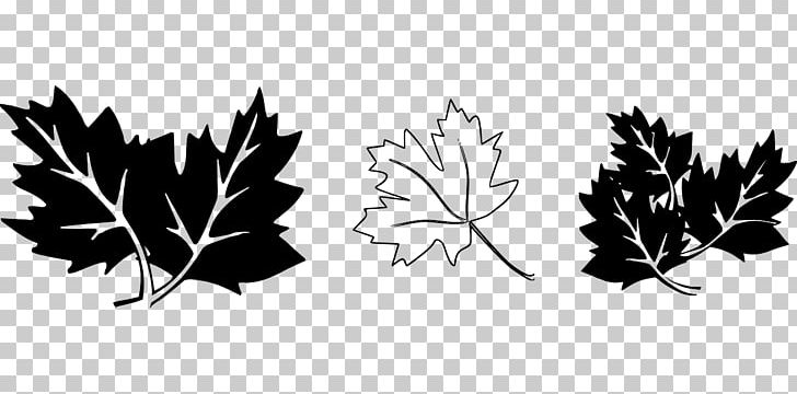 Maple Leaf Drawing Black And White PNG, Clipart, Black And White, Branch, Coloring Pages, Computer Icons, Computer Wallpaper Free PNG Download