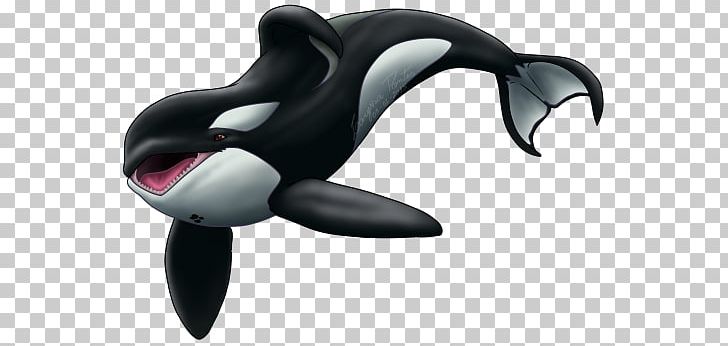 Dolphin Keiko Killer Whale PNG, Clipart, Animals, Animated Series, Animation,  Automotive Design, Cartoon Free PNG Download