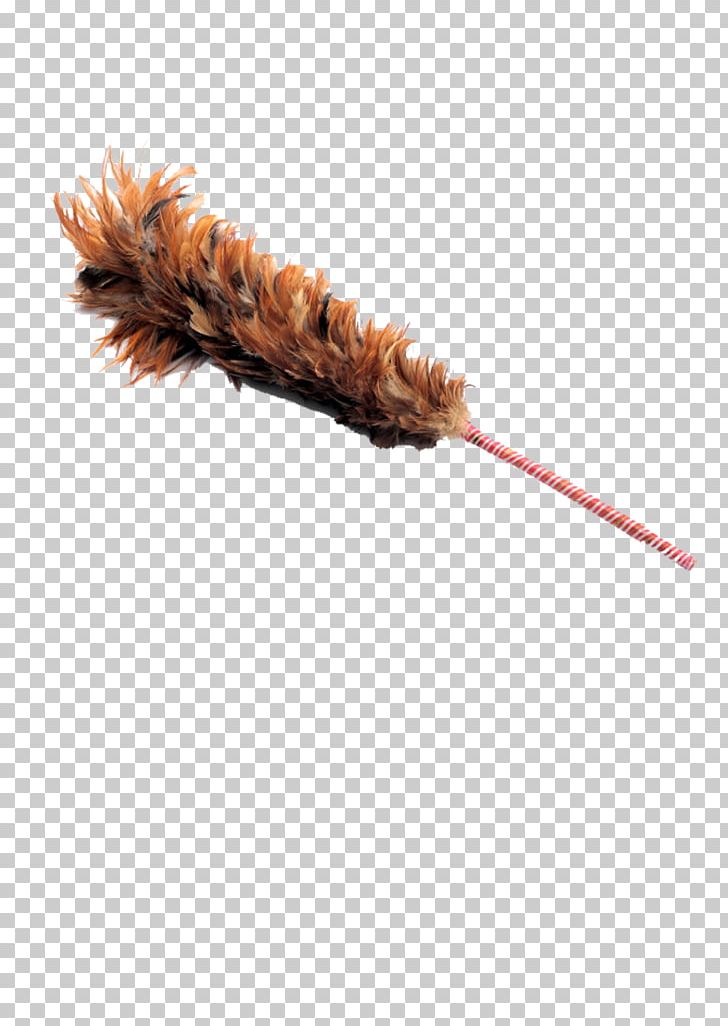 Feather Duster Cleaning PNG, Clipart, Animals, Animation, Clean, Clean Animation, Cleanliness Free PNG Download
