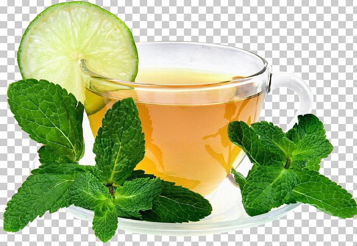Maghrebi Mint Tea Green Tea Drink PNG, Clipart, Alternative Medicine, Chinese Tea, Cocktail Garnish, Cup, Drink Free PNG Download