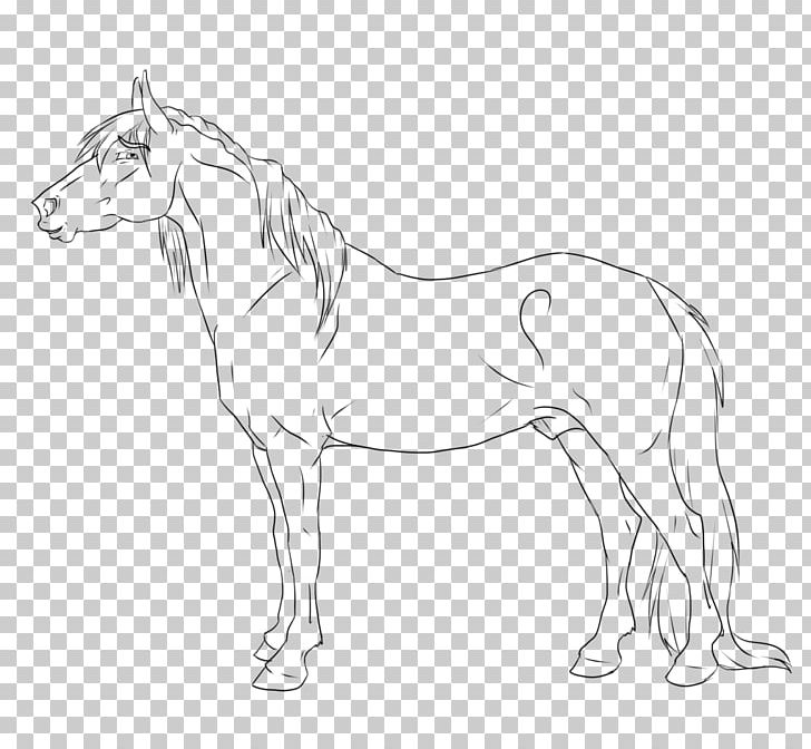Mule Stallion Line Art American Paint Horse Gypsy Horse PNG, Clipart, Animal Figure, Art, Based Line Drawing, Black And White, Bridle Free PNG Download