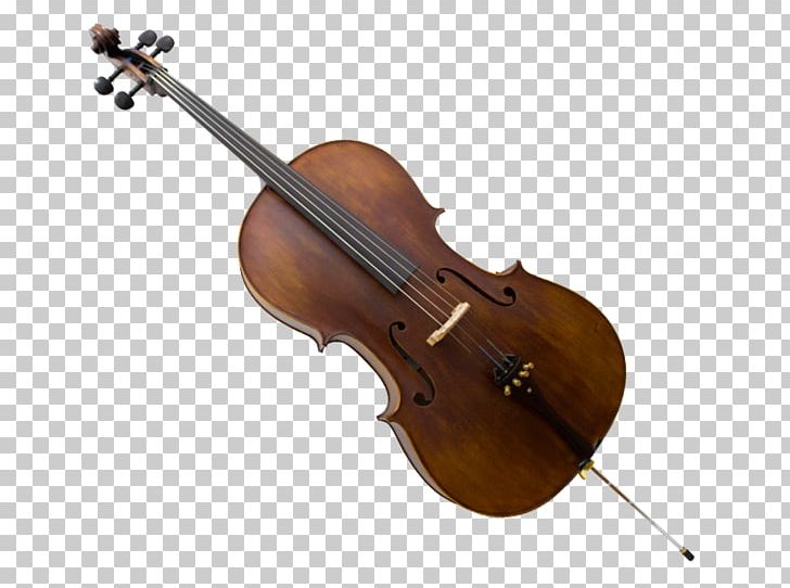 Bass Violin Violone Viola Double Bass Cello PNG, Clipart,  Free PNG Download