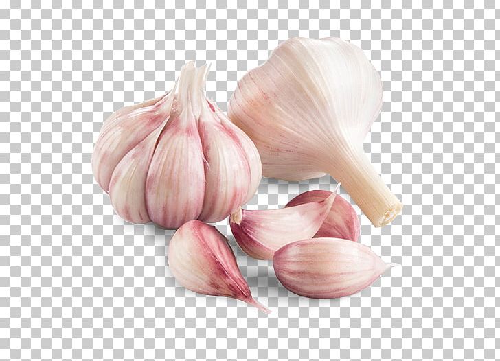 Garlic Shallot Vegetable Chives Human Papillomavirus Infection PNG, Clipart, Allium, Chives, Elephant Garlic, Food, Garlic Free PNG Download