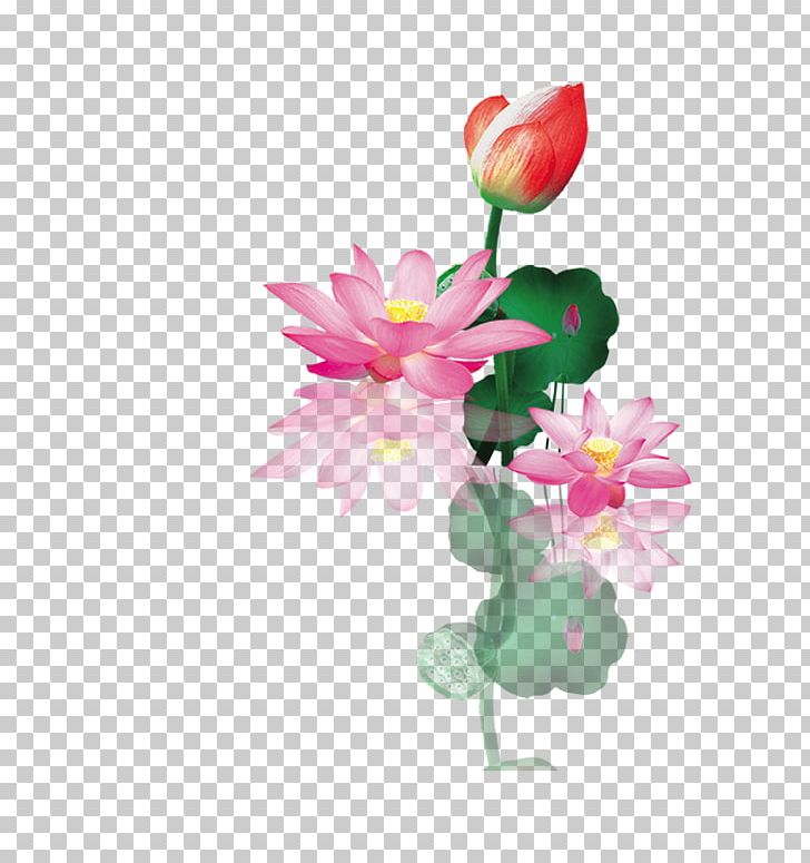 Nelumbo Nucifera Floral Design PNG, Clipart, Aquatic Plant, Artificial Flower, Blossom, Branch, Bud Free PNG Download