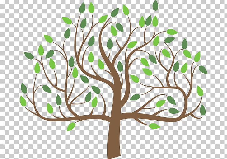 Branch Tree PNG, Clipart, Branch, Child, Family, Family Tree, Flora Free PNG Download