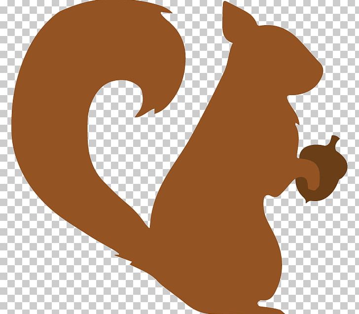 Cat Desktop Squirrel Photograph PNG, Clipart, Animals, Bear, Canidae, Carnivoran, Cat Free PNG Download