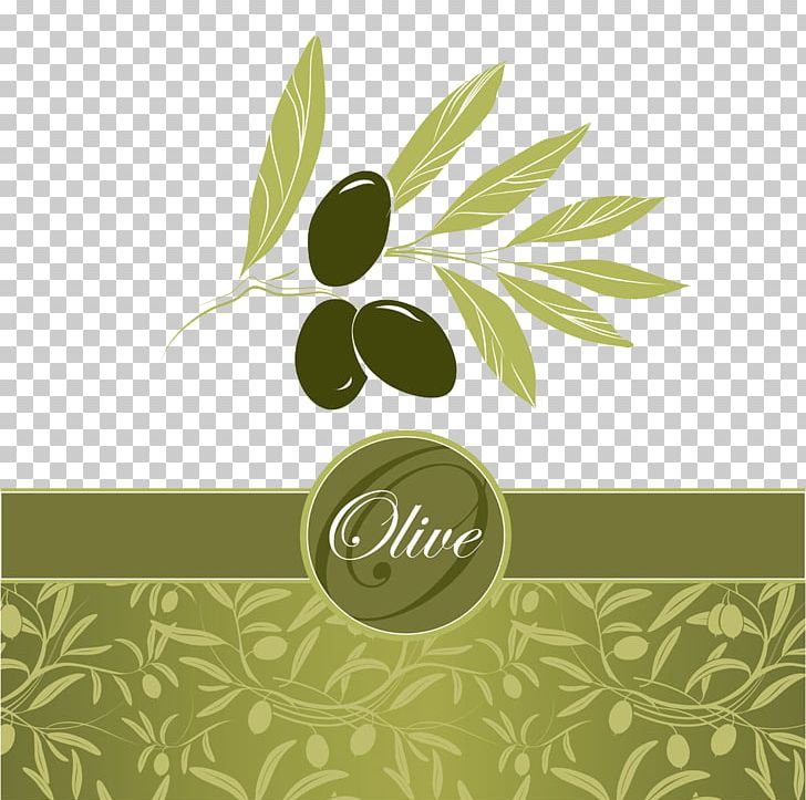 Olive Leaf Euclidean Olive Oil PNG, Clipart, Brand, Computer Wallpaper, Cover, Cover Design, Flora Free PNG Download