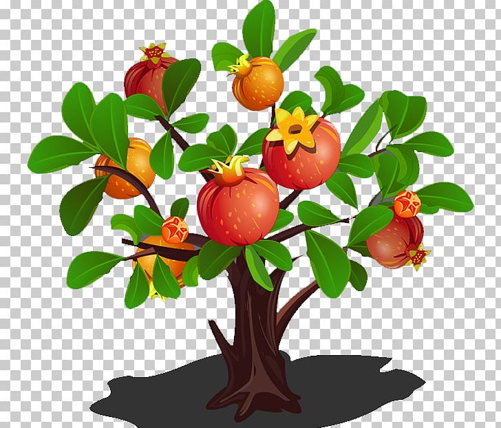 Pomegranate Tree PNG, Clipart, Apple, Auglis, Branch, Cartoon Pomegranate, Flower Free PNG Download