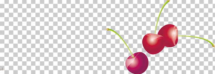 Superfood Close-up Natural Foods PNG, Clipart, Cherry, Cherry Blossom, Cherry Blossoms, Cherry Vector, Closeup Free PNG Download