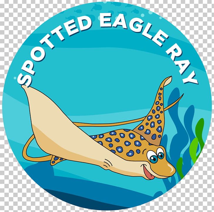 Learning Swimming Spotted Eagle Ray Eagle Rays Octopus PNG, Clipart, Aqua, Area, Beak, Bird, Eagle Free PNG Download